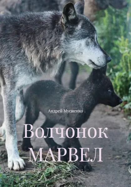 Волчонок МАРВЕЛ | Андрей Валерьевич Мусиенко | Электронная книга