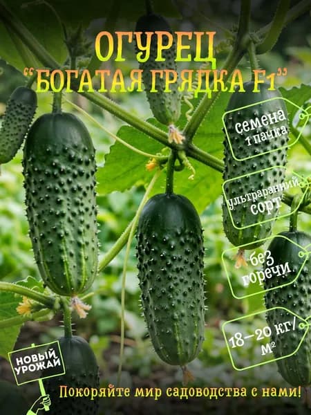 Коллекционные семена огурца Богатая Грядка F1, 1 пачка в комплекте