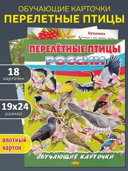 Обучающие карточки "Перелётные птицы России"