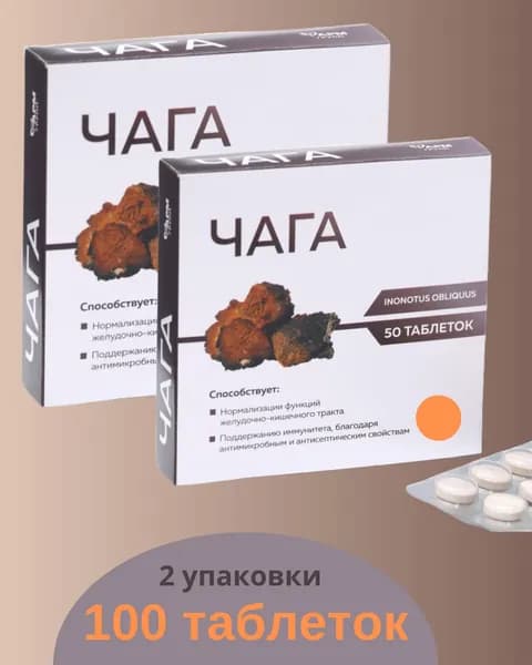 Чага при язвенной болезни и гастрите, 100 таблеток по 500 мг