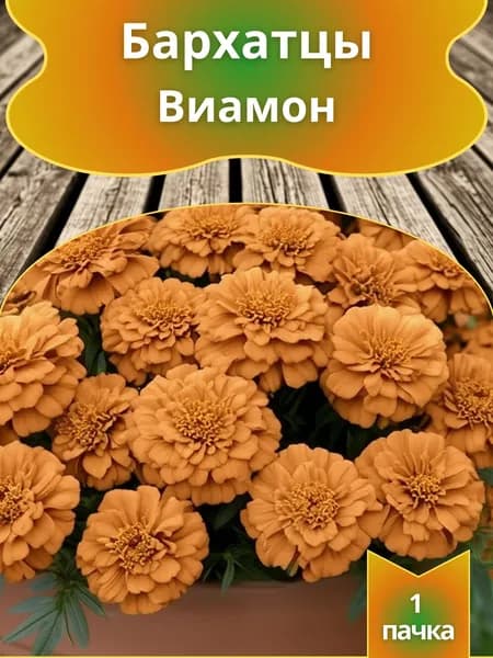 Бархатцы Виамон , семена 10 шт.