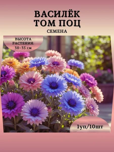 Василёк "Том Поц, смесь" семена, 1 пачка