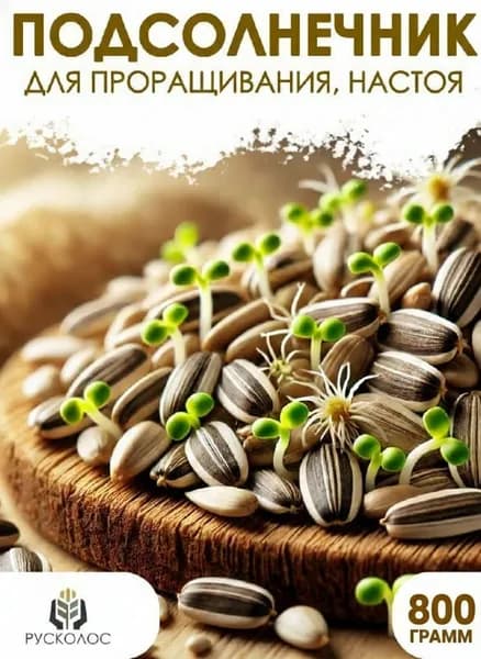 Подсолнечник в скорлупе для проращивания