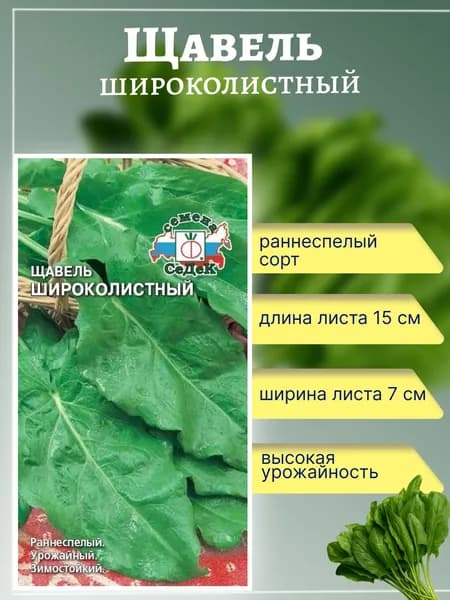 Щавель Широколистный