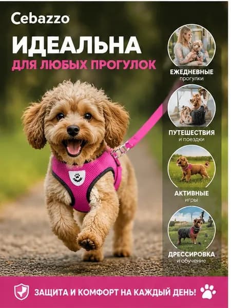 Шлейка