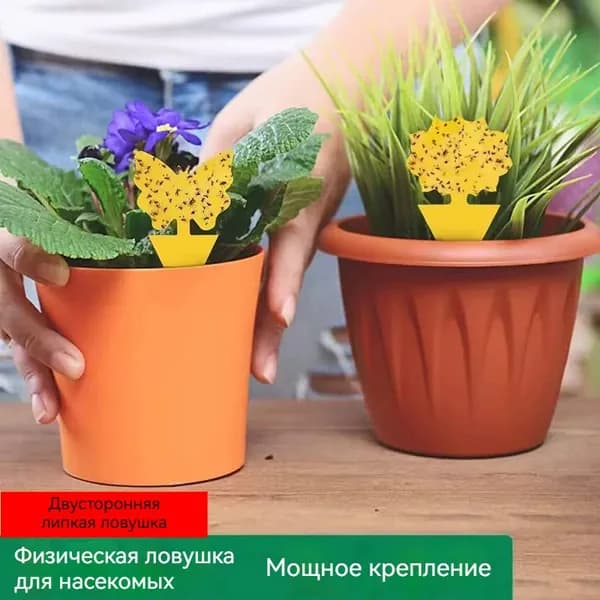 Липкая ловушка пчела для насекомых/20шт./липучки от мошек в теплицах и горшках, клеевая пластина/Вариант с пчелой