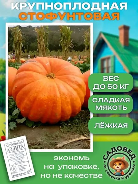 Тыква крупноплодная Стофунтовая 6шт семян, семена тыквы для посадки Агрофирма Аэлита