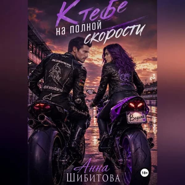 К тебе на полной скорости | Шибитова Анна | Электронная аудиокнига