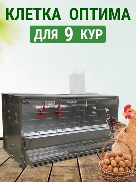 Клетка для куриц на 9 голов Оптима