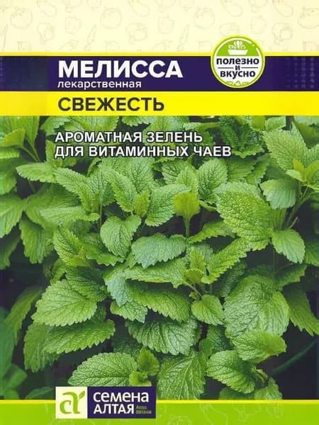Семена Алтая Семена