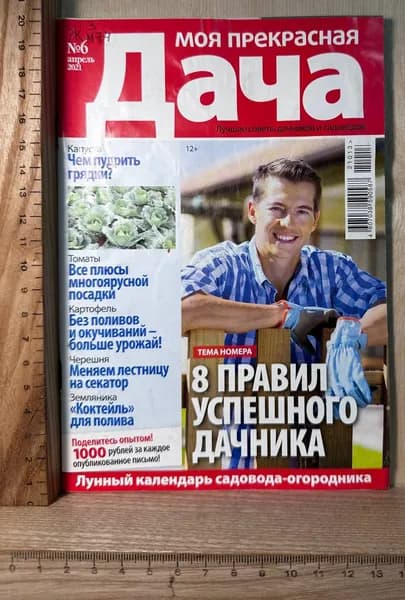 Журнал "Моя прекрасная дача" №6 (265) №2022 | Книга б/у