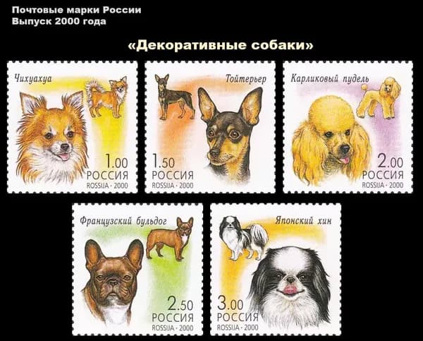 Почтовые марки России. 2000 год. "Декоративные собаки". Серия из 5 марок