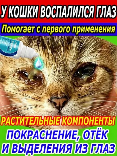 Антибиотики для кошек и собак，20 мл