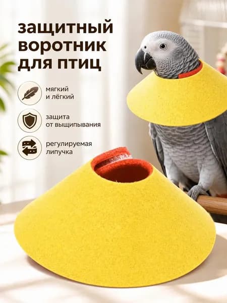 Защитный ошейник от укуса птицы