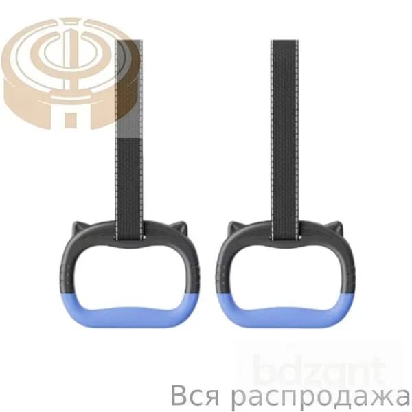 Гимнастические кольца