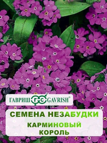 Семена Незабудки "Карминовый король" 0,05 гр.