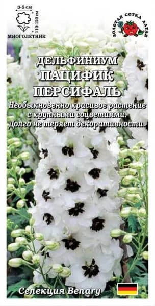 Дельфиниум Пацифик Персифаль