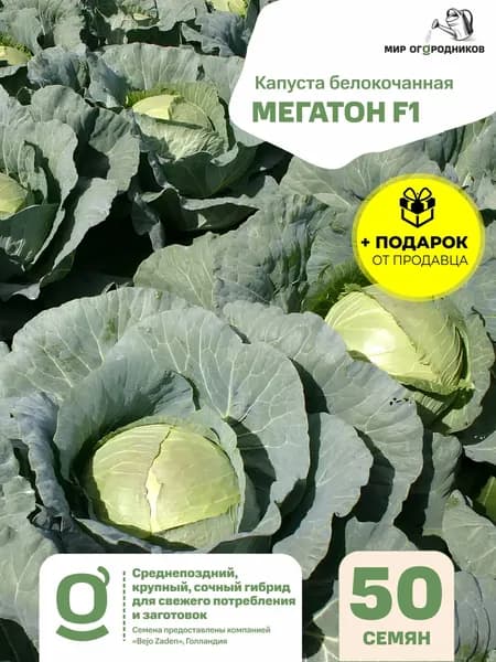 Семена Капуста белокочанная "Мегатон F1" (S) 50 сем. + Подарок