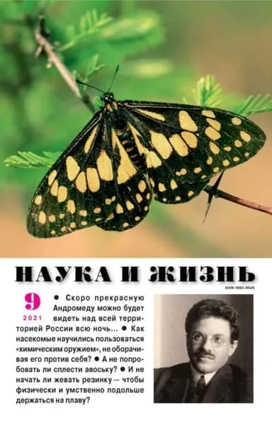 Наука и жизнь No09/2021 | Электронная книга