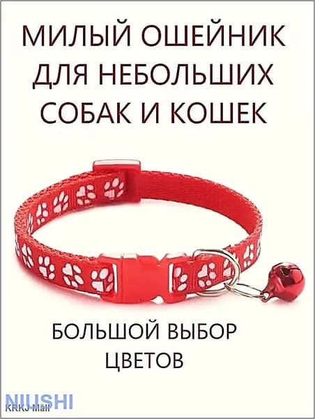 Ошейник