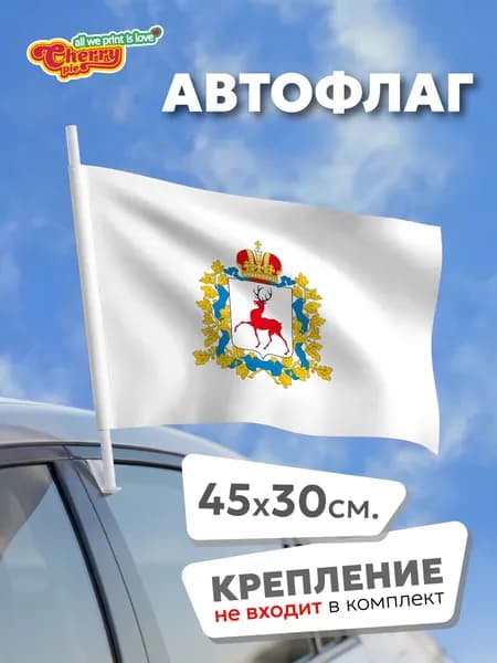 Флаг 45x30 Нижегородская область