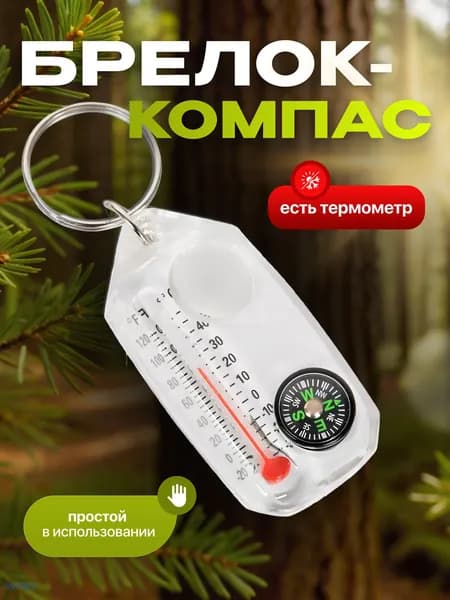 Портативный брелок-термометр с компасом