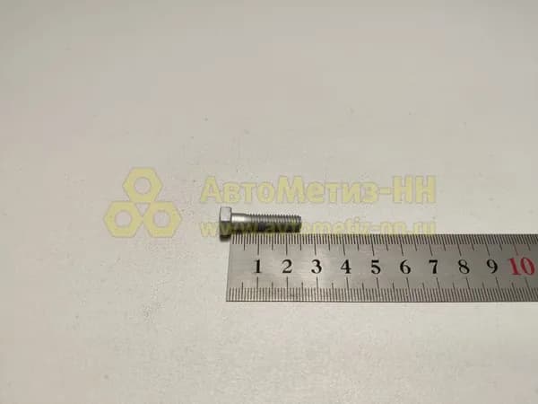 Болт М6*1*25 (8,8) (РЗИ)(уп. 20 шт)