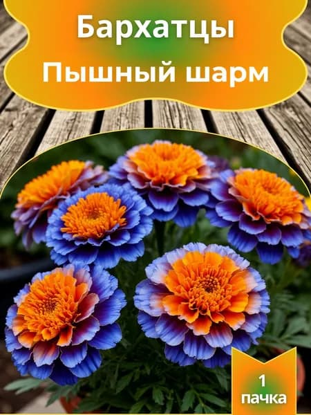 Бархатцы Пышный шарм, семена 10 шт.