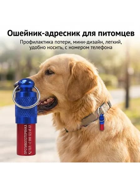 Кулон для животных от потери: Миниатюрный легкий жетон с гравировкой номера телефона