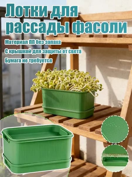 Кассета для рассады
