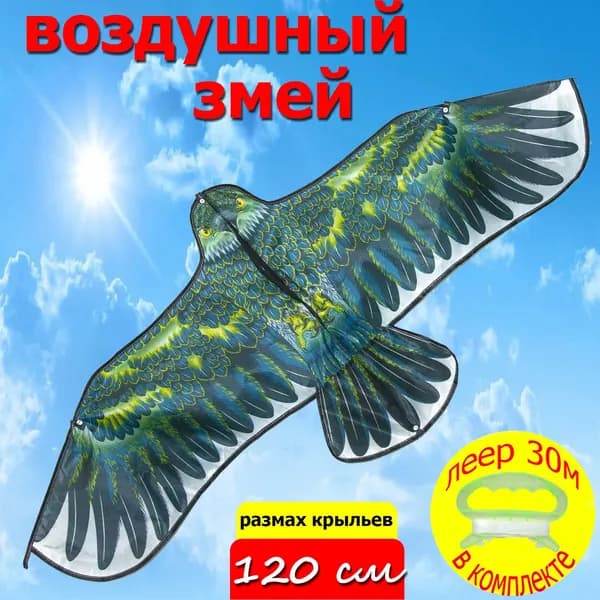 Змей воздушный 120/55 Орел с катушкой