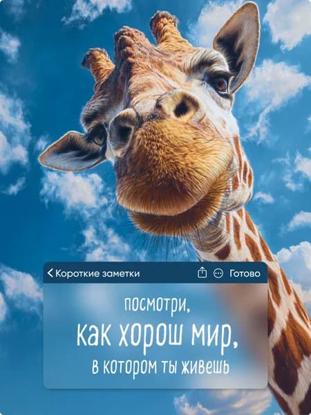 Магнит на холодильник для подруги, сестры, коллеги, подарок, прикол, 1шт, 7х10см