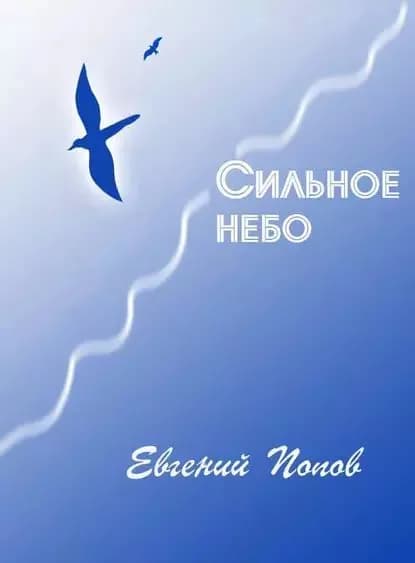 Сильное небо | Попов Евгений Анатольевич | Электронная книга