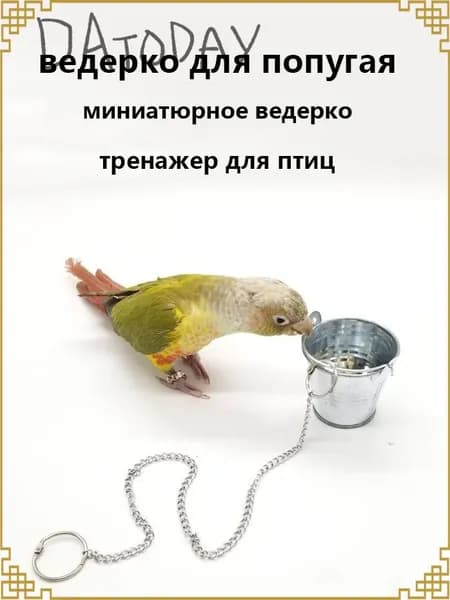 Премиум игрушка попугаю, 3.5 см