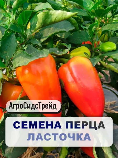 Семена Перец "Ласточка", 20 шт, однолетние овощи, для дачи и огорода, для открытого грунта и теплицы