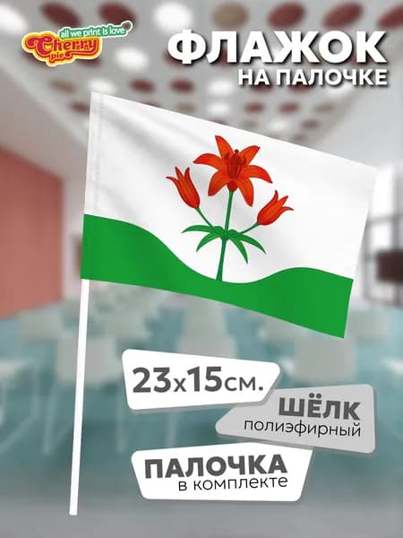 Флаг 23x15 на палочке Алия (Забайкальский край)