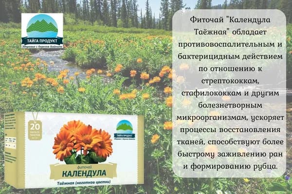 Фиточай "Календула таёжная"