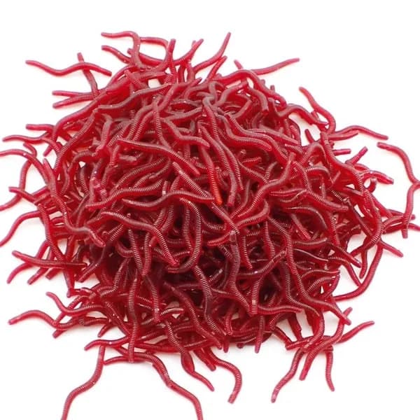 Воблеры силиконовые черви красные 3.5 см, имитация земляного червя для ловли окуня, удилища, каролинской оснастки, ПВХ, 1 шт.