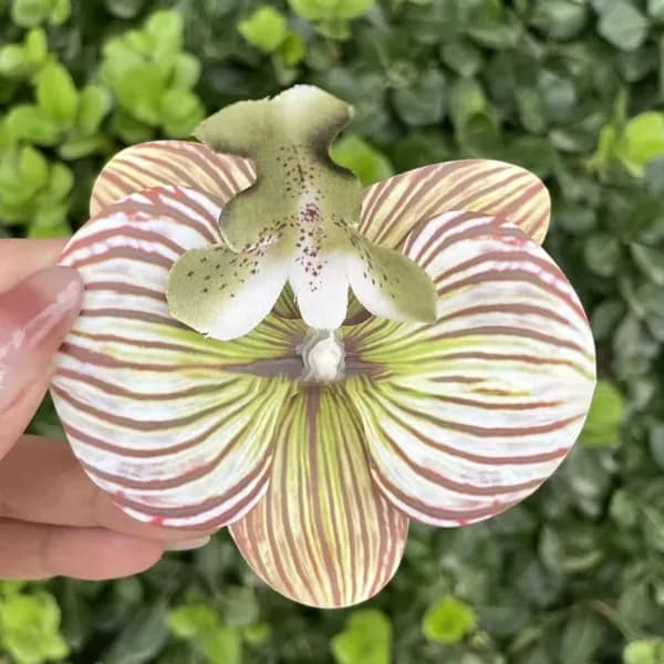 1 пара Сандалии с цветами Phalaenopsis
