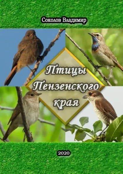 Птицы Пензенского края. Или моя первая фотовыставка | Соколов Владимир Анатольевич | Электронная книга
