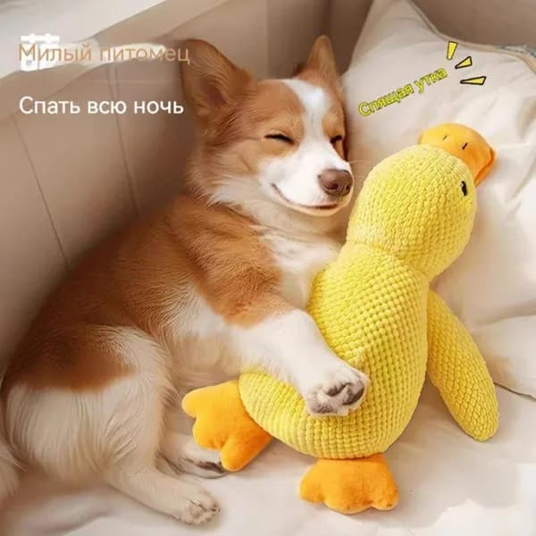 Игрушки для домашних животных, плюшевые игрушки для домашних животных