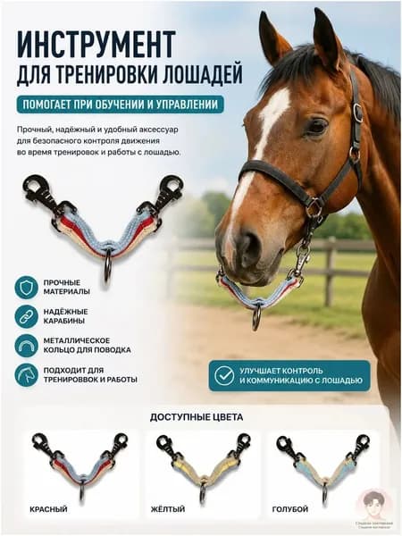 Переход на корду для лошадей