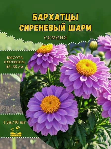 Бархатцы "Сиреневый Шарм" семена, 1 пачка