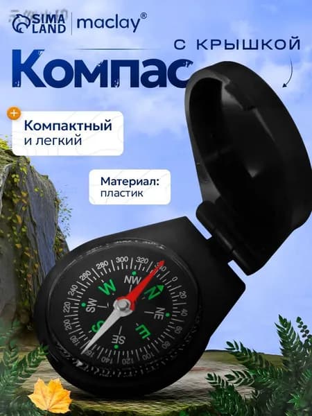 Компас