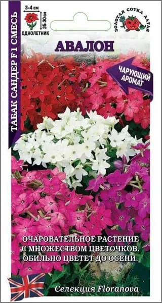 Табак Сандер Авалон смесь /Сотка/ 7шт/ сандер h-30см, d-4см Floranova /*