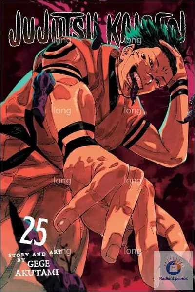 Эксклюзивный том 25 Jujutsu Kaisen