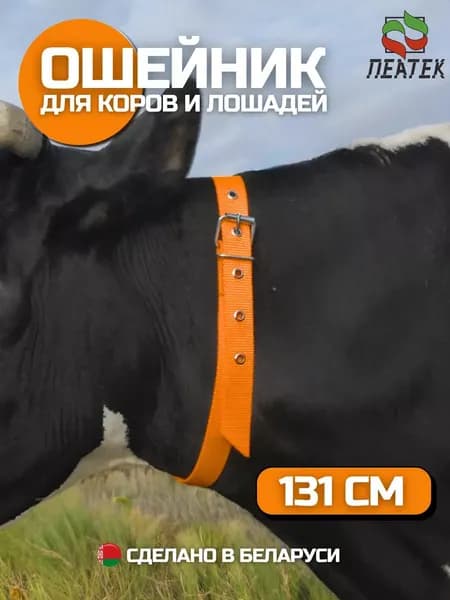 Ошейник для крс коров телят лошадей быков
