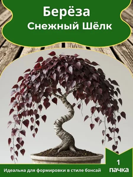 Берёза повислая Снежный Шёлк, семена, 10 шт. (бонсай)
