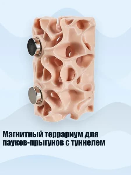 Магнитный террариум для пауков-прыгунов с туннелем, - 3