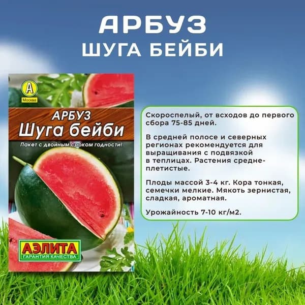 Семена Арбуз Шуга Бейби 15 шт семян, Агрофирма аэлита